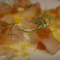 オッジ ダルマット 西麻布店 - 