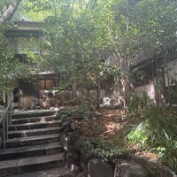 山の茶屋 - 