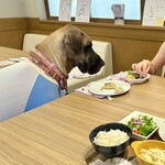 ドッグカフェ プティシアン - 