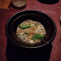 Potoro - 