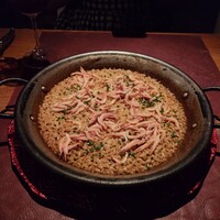 Potoro - 