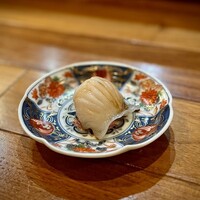 NOGI - 