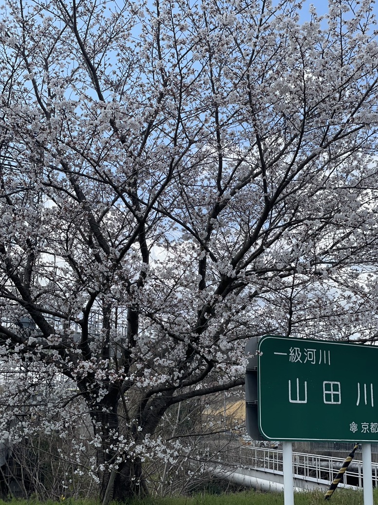 ハンドメイドソープ・カフェ