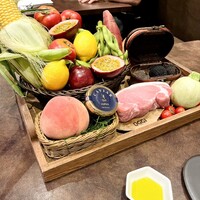 オッジ ダルマット 西麻布店 - 