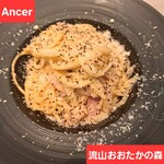 Ancer - 
