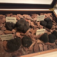 Terres de Truffes, Tokyo - 