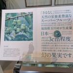 無添加 那須ジェラート - 