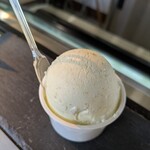 無添加 那須ジェラート - さるなし