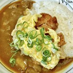 むこのっそん - カツとじ+牛すじカレー