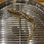 てんぷら 下村 - 稚鮎