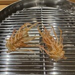 てんぷら 下村 - 車海老足