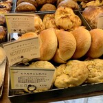 コンセントマーケット - 