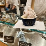 젤라테리아 지나 - 