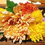 銀座 しのはら - 菊咲月　菊の被綿　重陽の節句　大将の粋な演出と日本古来の風習を知る貴重な機会に感謝