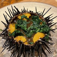 HAGI - 