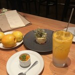 ポップ ガストロノミー レインカラー - 