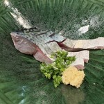 鯖とか烏賊とか真とか - 