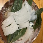 鯖とか烏賊とか真とか - 