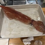 鯖とか烏賊とか真とか - 