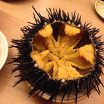 鮨 一新 - 殻付きうに