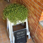 ホンカトリー - 