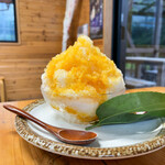 甑フルーツ園 - かき氷 パッションフルーツ　850円
