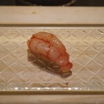 鮨 なんば - 縞海老