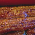 川京 - うなぎ♪接写