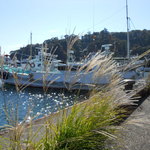 くしだ蔵 - 下田港