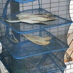 居酒屋 なのはな - 