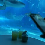 オーシャンブルー - 