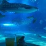 オーシャンブルー - 