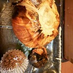 魚 枡 - 
