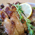 ジェヴァン - グリルチキンと玄米セット