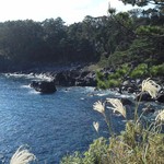 カフェ ブリッジ - 城ヶ崎