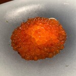 蒼 - 新いくらの冷製フェデリーニ