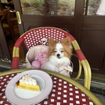 Brasserie la Maison - 