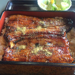 Unagi Kinsui - 