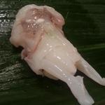 寿司 いずみ - ダルマイカ