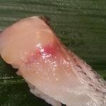 寿司 いずみ - イサキ