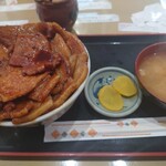 ぶた丼のとん田 - 大盛り全景