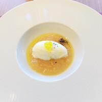 GLICINE di ACQUA PAZZA - 