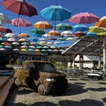 ボンサイ カフェ - アンブレラスカイ