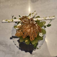 GENTLE Dining - 