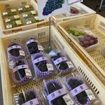 道の駅 富士川 - 