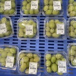 道の駅 富士川 - 車内用www