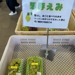 道の駅 富士川 - 