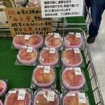 道の駅 富士川 - 結構高い