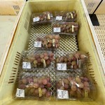 道の駅 富士川 - 