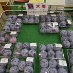 道の駅 富士川 - 太陽プラムも甘く美味しい